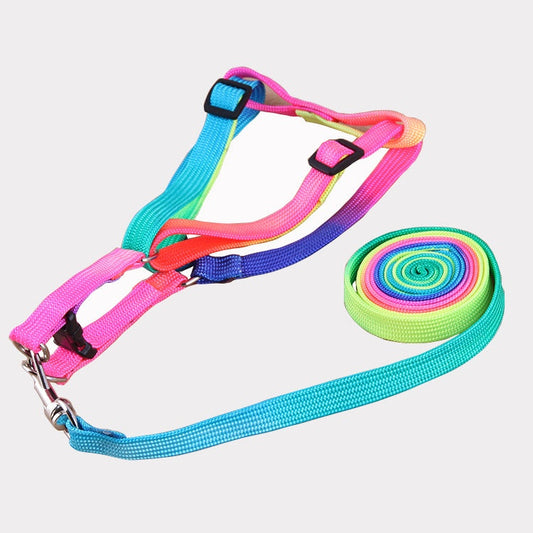 Colorful Dog Leashes Color